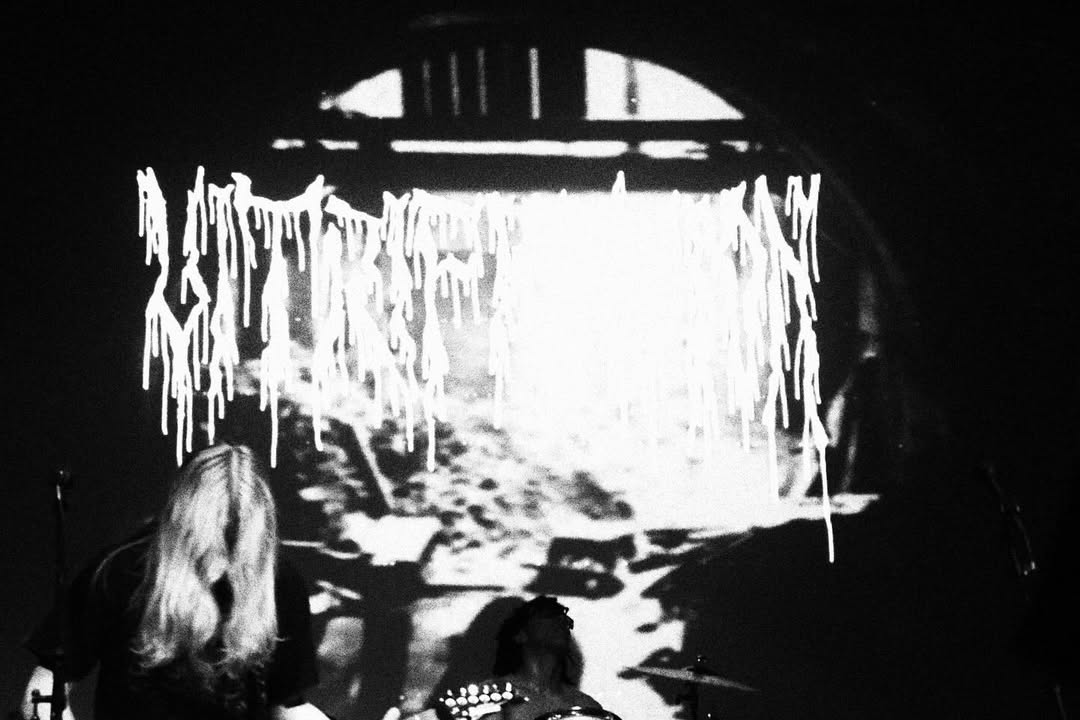VITRIFICATION LIVE 1