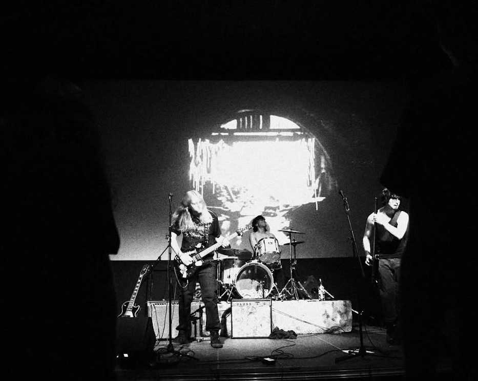 VITRIFICATION LIVE 1